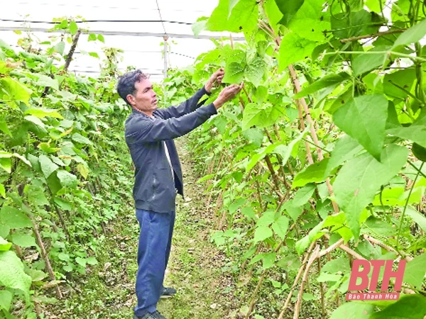 Ninh Khang hướng tới xây dựng xã nông thôn mới nâng cao