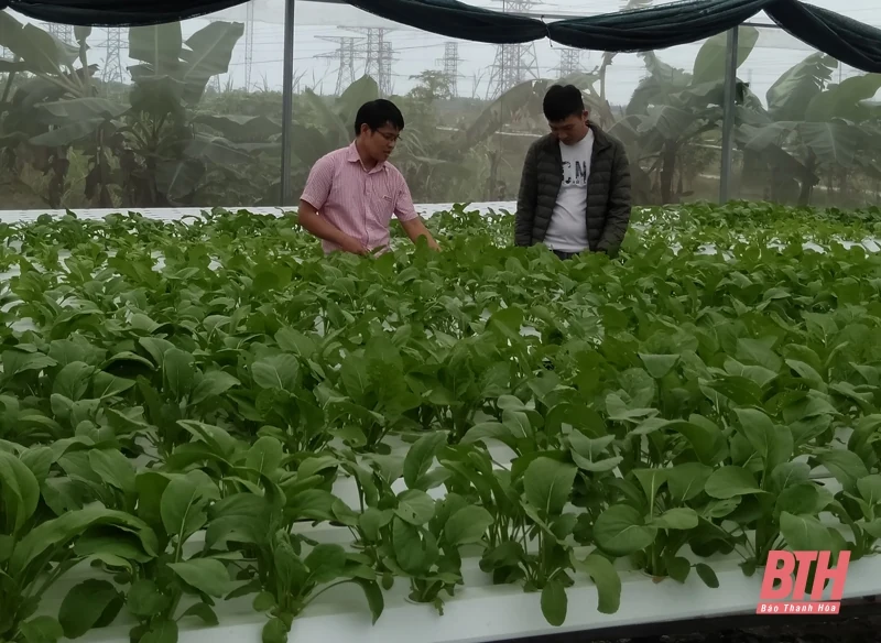 Huyện Nông Cống phát triển nông nghiệp bền vững