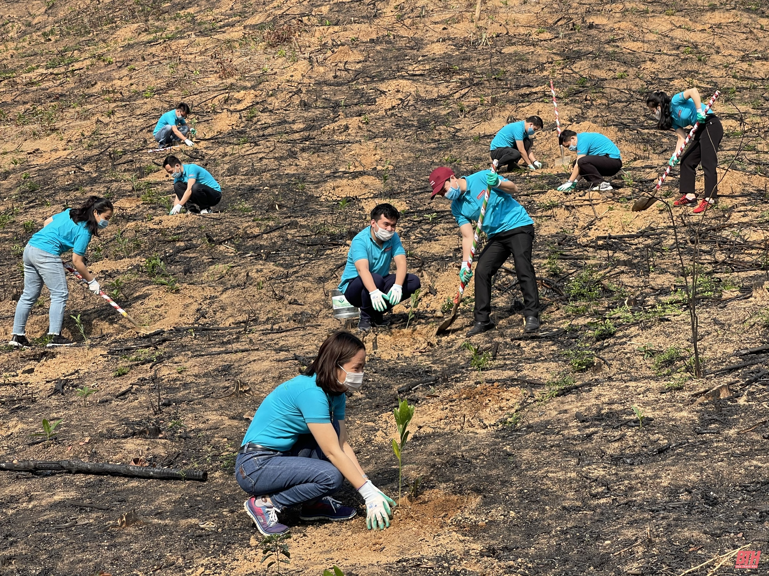 Agribank Nam Thanh Hóa tặng hơn 10.000 cây xanh cho người dân huyện Nông Cống