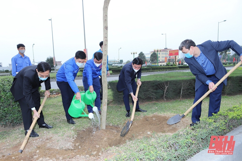 Mùa xuân là Tết trồng cây