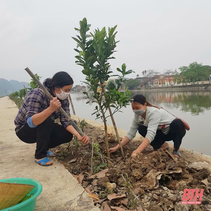 Mùa xuân là Tết trồng cây