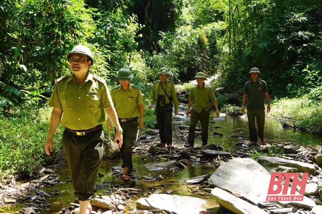 Bảo vệ rừng ở Khu Bảo tồn thiên nhiên Pù Hu
