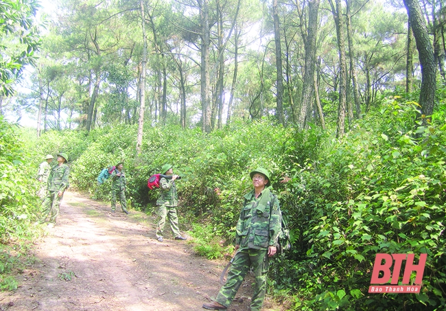 Chủ động bảo vệ rừng thông trong mùa khô hanh