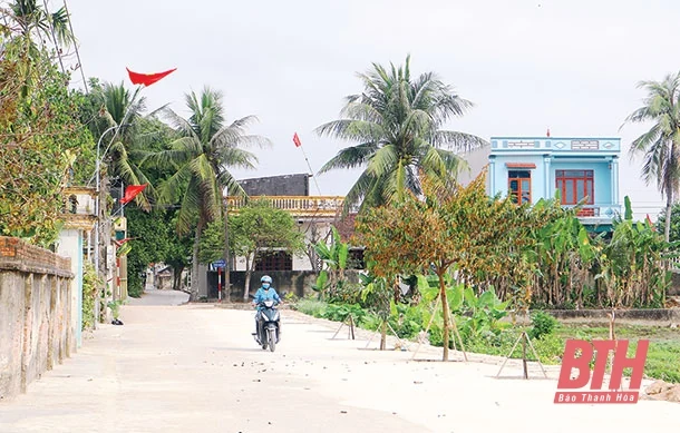 Hiến đất - cuộc “cách mạng” kiến thiết làng quê