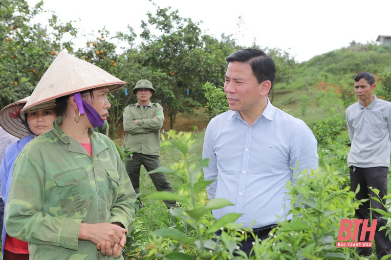 Bá Thước cần phát triển nhanh hơn, mạnh hơn, nhanh chóng thoát khỏi huyện nghèo và trở thành huyện khá ở khu vực miền núi của tỉnh