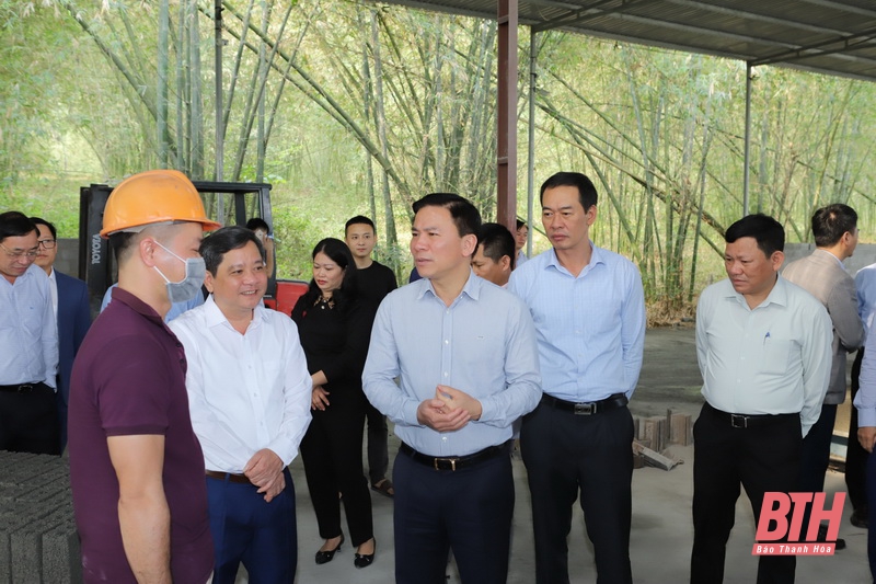 Bá Thước cần phát triển nhanh hơn, mạnh hơn, nhanh chóng thoát khỏi huyện nghèo và trở thành huyện khá ở khu vực miền núi của tỉnh