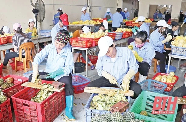 Tín hiệu tích cực từ hoạt động xuất khẩu hàng hóa