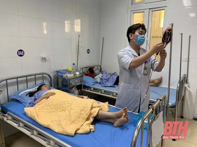 Giọt máu hồng gieo mầm sự sống