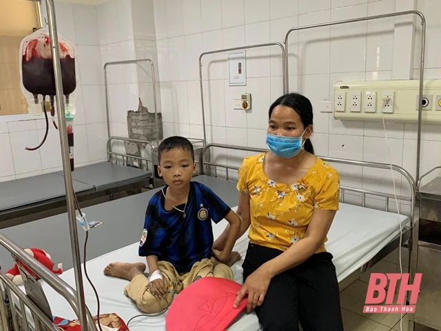 Giọt máu hồng gieo mầm sự sống