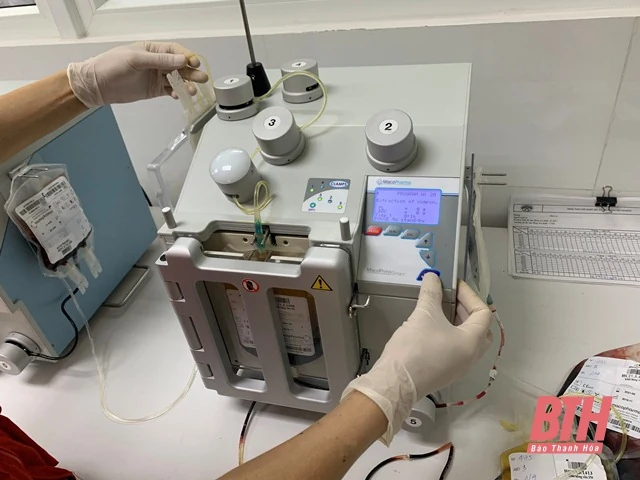 Giọt máu hồng gieo mầm sự sống
