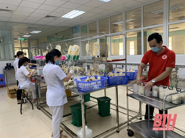 Giọt máu hồng gieo mầm sự sống