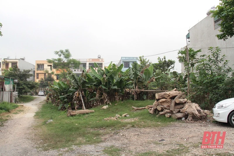 Bao giờ các hộ dân trúng đấu giá đất tại MBQH 11808 phường Quảng Hưng mới được cấp giấy chứng nhận QSDĐ và giao đất?