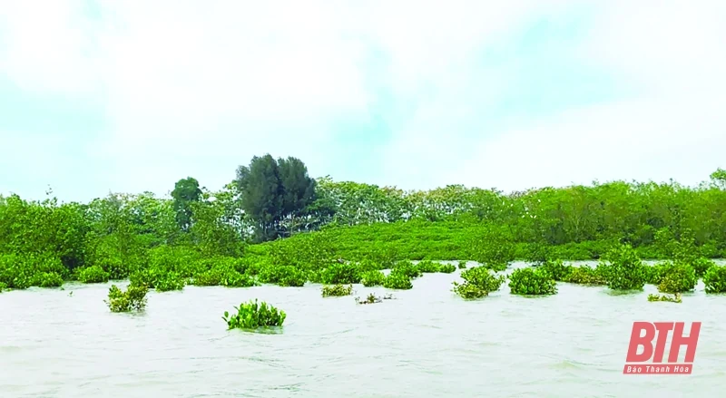 Mênh mông sóng nước Cồn Trường
