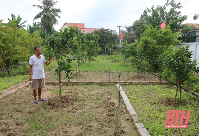 Hội Làm vườn và Trang trại tỉnh hỗ trợ hội viên xây dựng vườn mẫu