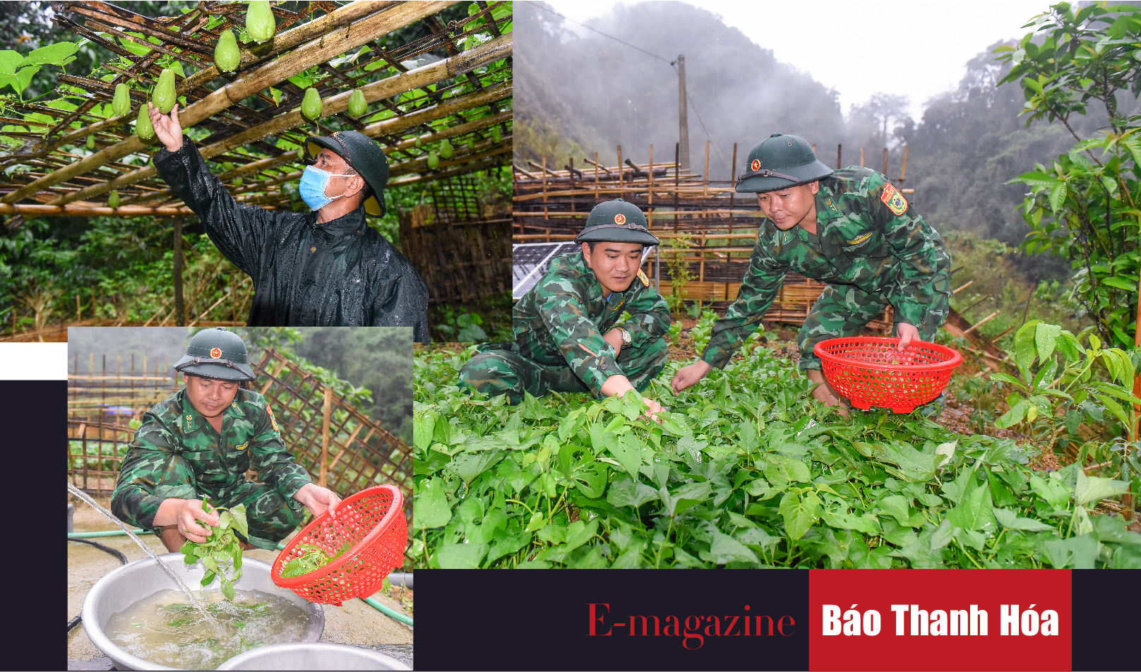 [E-Magazine] - Giữ vùng m m88 bình yên