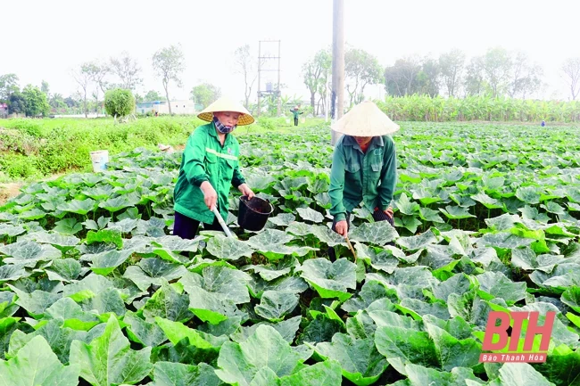 Đổi thay ở xã nông thôn mới kiểu mẫu Định Tân