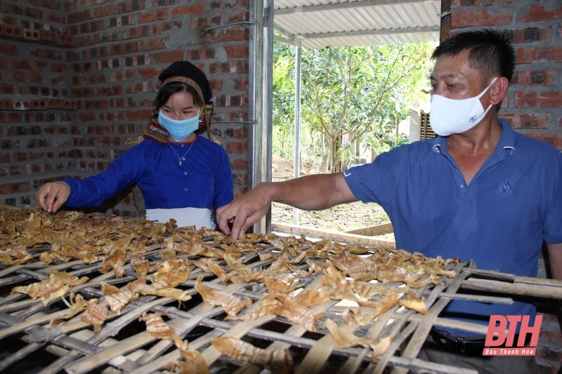 Hướng dẫn xây dựng măng khô Thanh Lâm thành sản phẩm OCOP