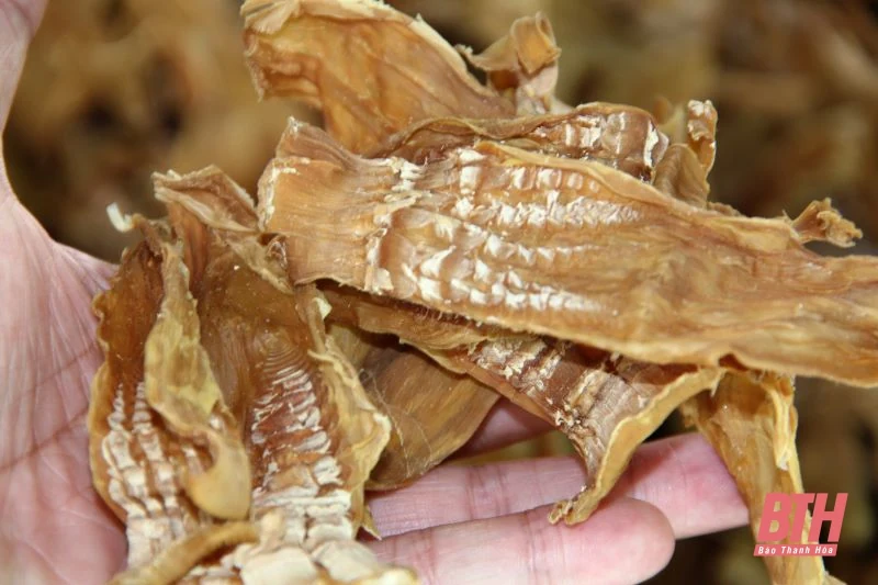 Hướng dẫn xây dựng măng khô Thanh Lâm thành sản phẩm OCOP
