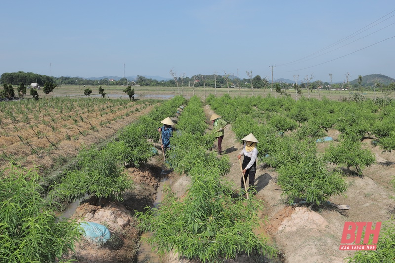 Đồng chí Bí thư Tỉnh ủy Đỗ Trọng Hưng thăm và làm việc tại huyện Triệu Sơn