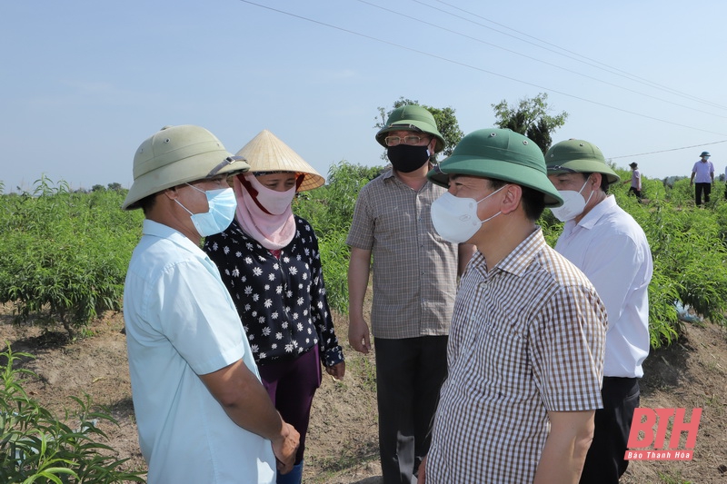 Đồng chí Bí thư Tỉnh ủy Đỗ Trọng Hưng thăm và làm việc tại huyện Triệu Sơn
