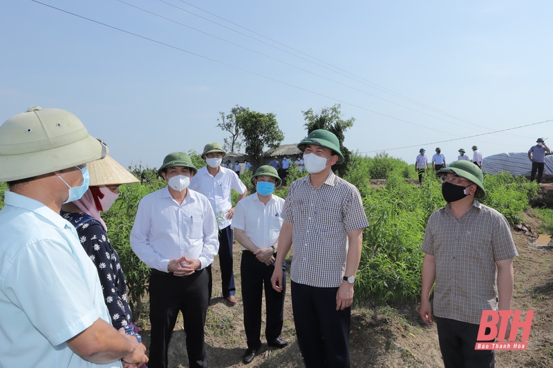 Đồng chí Bí thư Tỉnh ủy Đỗ Trọng Hưng thăm và làm việc tại huyện Triệu Sơn