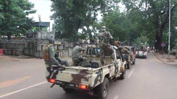 ECOWAS đình chỉ tư cách thành viên của Mali sau cuộc đảo chính