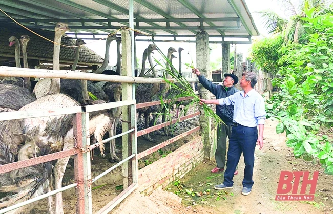 Người cao tuổi nêu gương sáng trong các phong trào thi đua