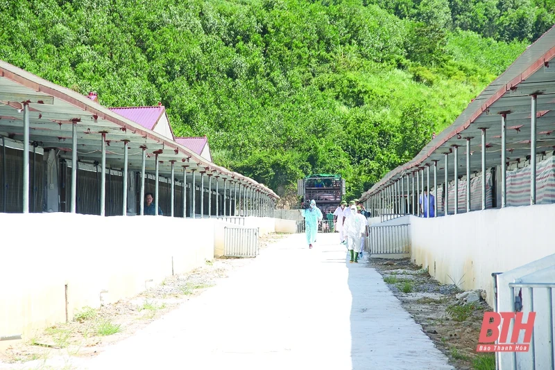 Phát triển nông nghiệp và xây dựng nông thôn mới bền vững: Xây dựng, hoàn thiện cơ chế, chính sách phát triển nông nghiệp, nông thôn