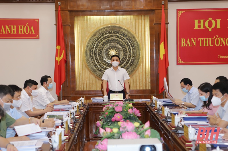 Ban Thường vụ Tỉnh ủy Thanh Hóa cho ý kiến vào nhiều nội dung quy hoạch tạo động lực phát triển của tỉnh