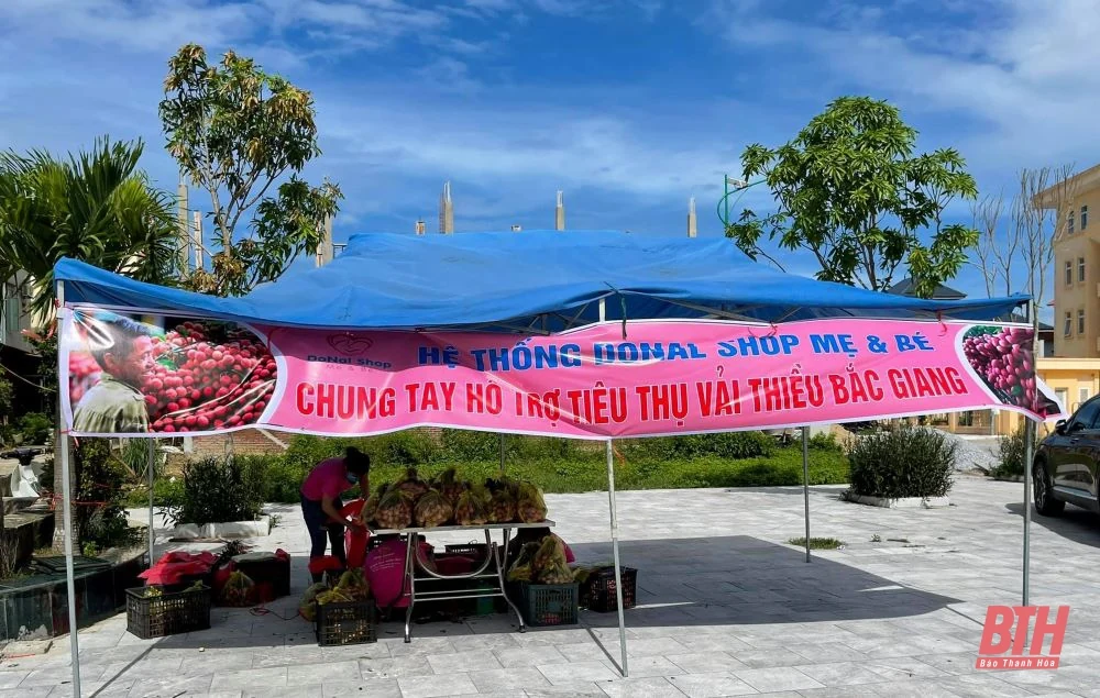 Việc làm ý nghĩa của chàng trai 8X trong phòng, chống dịch COVID-19