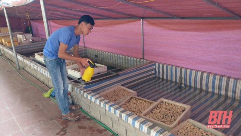 Huyện Hà Trung nâng cao hiệu quả nuôi trồng thủy sản