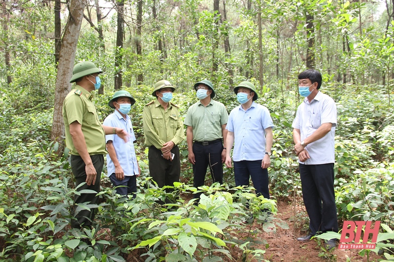 Lãnh đạo Sở NN&PTNT kiểm tra công tác phòng cháy, chữa cháy rừng tại thị xã Nghi Sơn