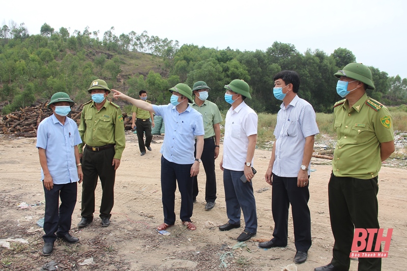 Lãnh đạo Sở NN&PTNT kiểm tra công tác phòng cháy, chữa cháy rừng tại thị xã Nghi Sơn