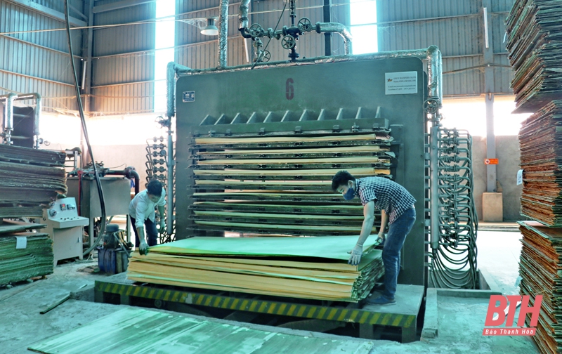 Phát triển ngành nghề chế biến gỗ còn nhiều khó khăn