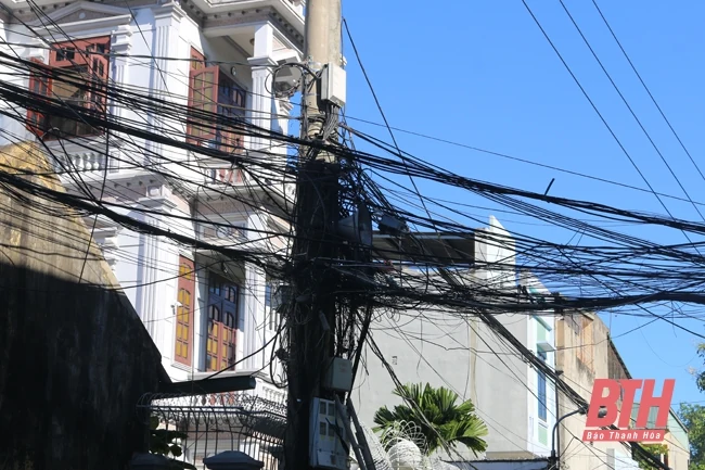 “Mạng nhện” ở đường Trần Thị Nam