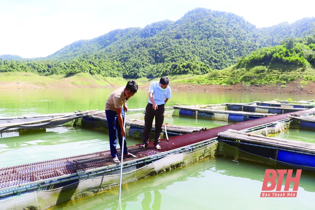 Phát triển nghề nuôi cá lồng gắn với du lịch sinh thái trên hồ thủy điện Cửa Đạt