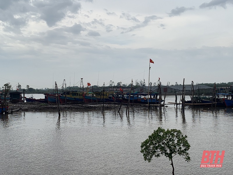 Phó Chủ tịch UBND tỉnh Lê Đức Giang yêu cầu huyện Nga Sơn và Hà Trung chủ động ứng phó với áp thấp nhiệt đới