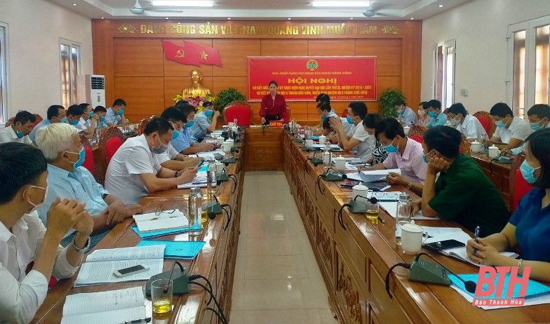 Hội Nông dân huyện Nông Cống đồng hành hỗ trợ nông dân hiệu quả