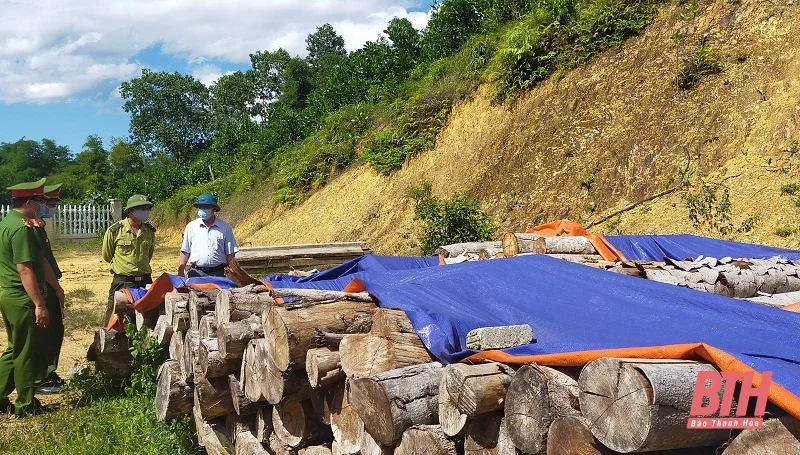 Thanh Hóa xử lý hành chính 182 vụ vi phạm pháp luật về bảo vệ rừng