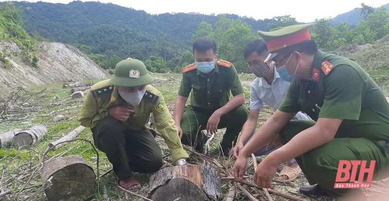 Thanh Hóa xử lý hành chính 182 vụ vi phạm pháp luật về bảo vệ rừng