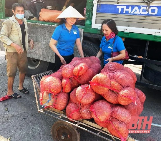 Câu lạc bộ Thiện Nguyện Xanh và những chuyến hàng nghĩa tình