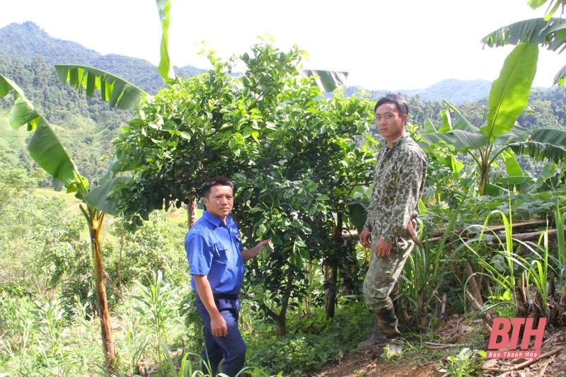 Phát triển đảng viên ở cổng trời Trung Lý 