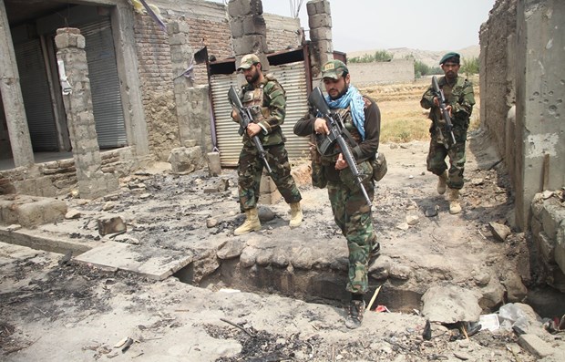 Quân chính phủ Afghanistan tiêu diệt hơn 50 phần tử Taliban