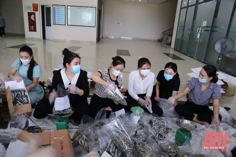 Công đoàn Báo Thanh Hóa hưởng ứng tuần lễ “Hướng về Thành phố mang tên Bác”
