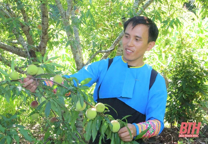 Pù Toong - bản đồng bào Mông đầu tiên “về đích” nông thôn mới