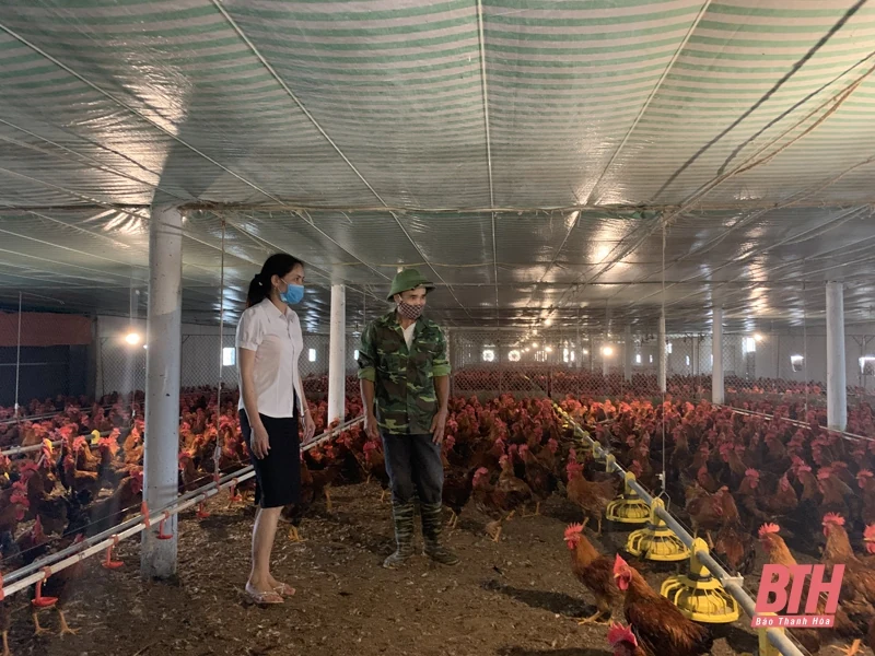 Phát huy hiệu quả nguồn vốn của hệ thống quỹ tín dụng Nhân dân