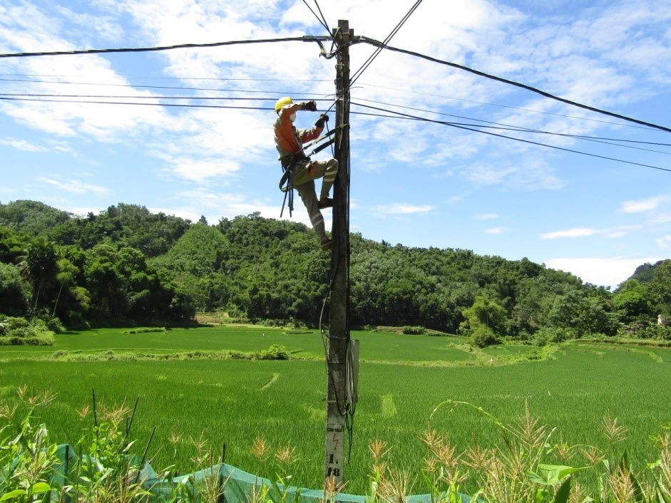 Điện lực Lang Chánh thực hiện chỉnh trang 5S lưới điện
