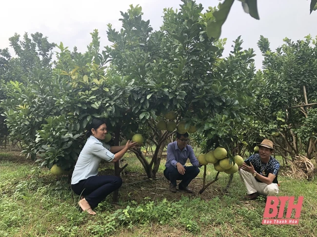 Đào tạo nghề gắn với xây dựng nông thôn mới ở huyện Hà Trung
