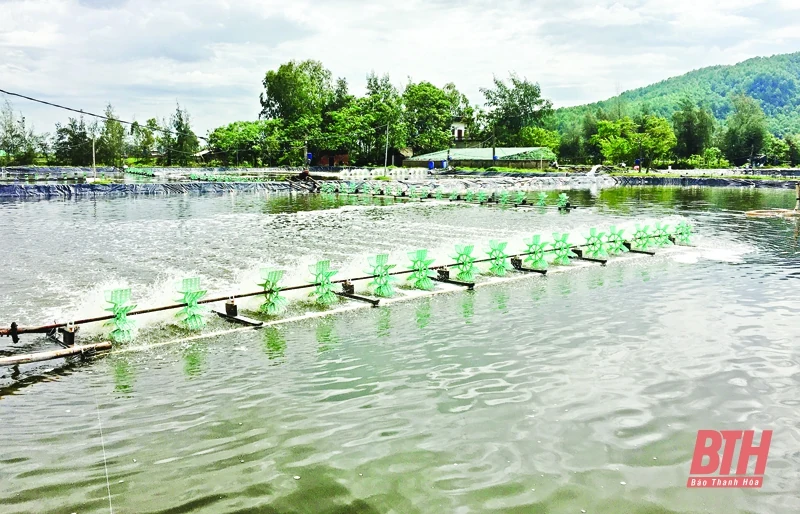 Khơi mở tiềm năng phát triển ngành thủy sản: Bài 1 - Tiềm năng còn bỏ ngõ