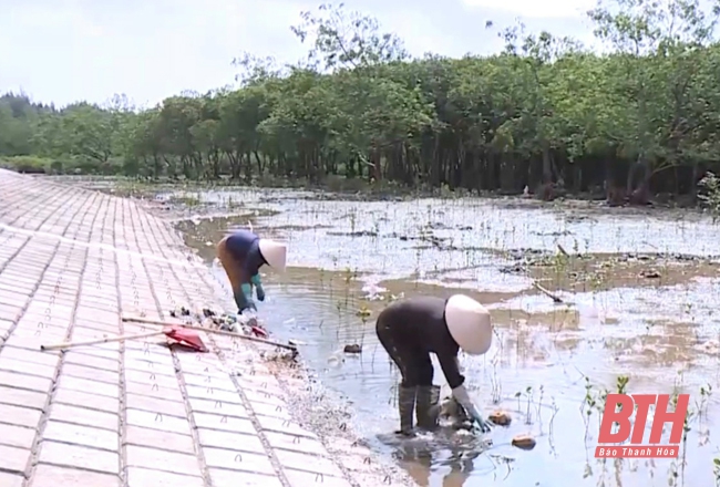 Chuyển biến trong công tác bảo vệ môi trường ở các xã ven biển huyện Hậu Lộc